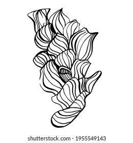 Vector sketch illustration of sea sponge. Nature background vector. Vector isolated illustration.