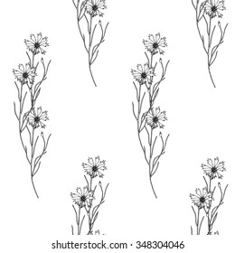 Vector sketch illustration of seamless texture with cornflowers
