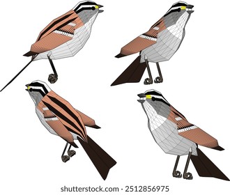 Vector sketch illustration silhouette design image of pet bird animal with wide wings