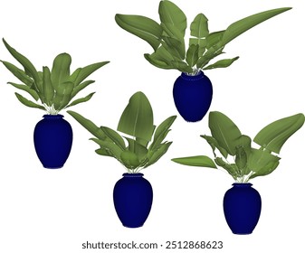 Vector sketch illustration silhouette design image of ornamental plants in pots for home interior