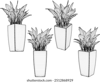 Vector sketch illustration silhouette design image of ornamental plants in pots for home interior