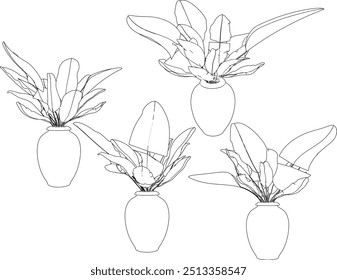 Vector sketch illustration silhouette design image of ornamental plants in pots for home interior 