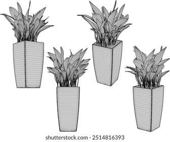 Vector sketch illustration silhouette design image of ornamental plants in pots for home interior