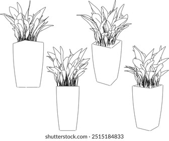 Vector sketch illustration silhouette design image of ornamental plants in pots for home interior 