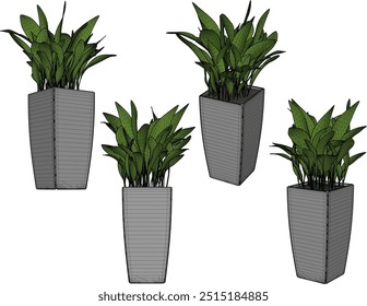 Vector sketch illustration silhouette design image of ornamental plants in pots for home interior