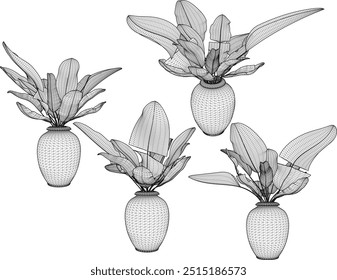 Vector sketch illustration silhouette design image of ornamental plants in pots for home interior