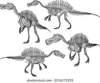 Vector sketch illustration silhouette design image of dinosaur animal skeleton toy room decoration and wardrobe shelf