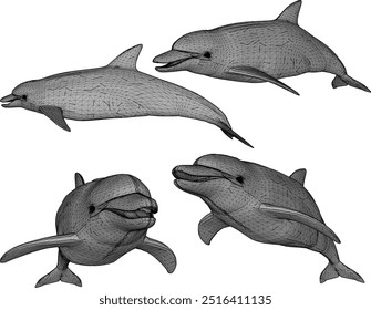 Vector sketch illustration silhouette design image of mammal animal dolphin swimming in the sea