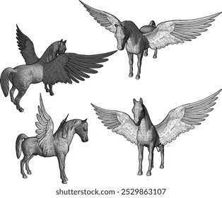 Vector sketch illustration silhouette design of mythical mythical animal unicorn with wide wings