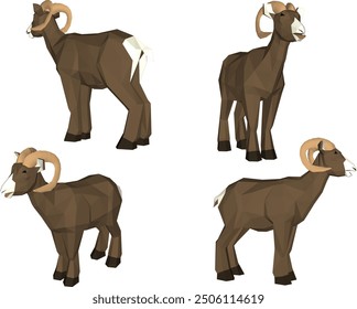 Vector sketch illustration silhouette drawing design detail of cute sheep animal with curved horns