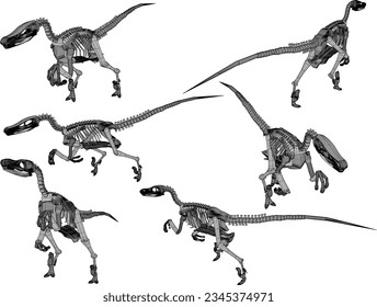 Dibujo vectorial ilustración de la estructura esquelética de un fósil de dinosaurio carnívoro gigante prehistórico