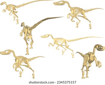 Vector sketch illustration of the skeletal structure of a prehistoric giant carnivorous dinosaur fossil