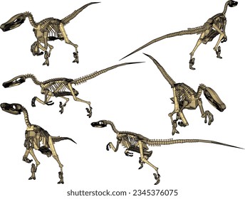 Vector sketch illustration of the skeletal structure of a prehistoric giant carnivorous dinosaur fossil