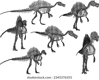 Vector sketch illustration of the skeletal structure of a prehistoric carnivorous dinosaur fossil