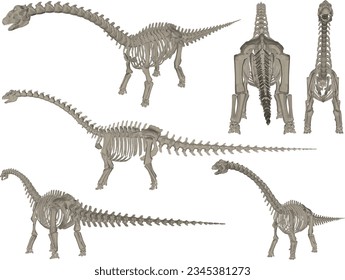 Vector sketch illustration of the skeletal structure of a prehistoric brontosaurus dinosaur fossil