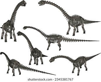 Vector sketch illustration of the skeletal structure of a prehistoric brontosaurus dinosaur fossil