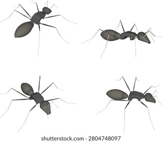 Vector sketch illustration of a small insect animal design of an ant with sharp pincers and long antennae
