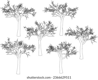 Vector sketch illustration of a tree in autumn without leaves with many branches