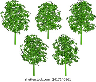 Vector sketch illustration of tree plant design with flowers