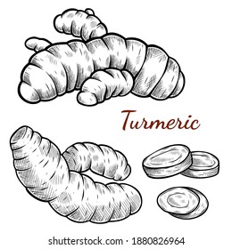 Dibujo vectorial de la ilustración del conjunto de raíces cúrmicas aisladas en blanco. Estilo grabado. Tinta. negocio natural. Vintage, retro objeto para menú, etiqueta, receta, embalaje de productos