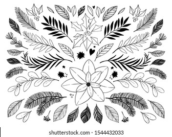 Vector sketch illustration. Winter design elements (fir-tree branches, eucalyptus, pointsettia, holly ). Happy new year and merry christmas. Perfect for cards, wedding invitations, banners, posters 