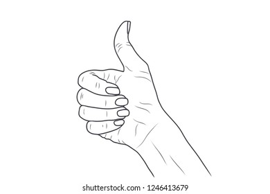 Vector sketch illustration - women's hand.