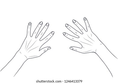 Vector sketch illustration - women's hands.