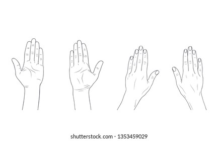 Vector sketch illustration - women's hands. Palms up, down. eps10 vector stock illustration. hand drawing. out line.