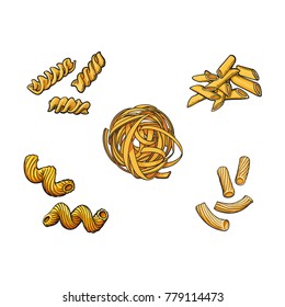 vector sketch italian pasta types set. Sadani, penne and pipe rigati, cavatappi fussilini and fettuchine. Food elements for restaurant, cafe menu design. Isolated illustration on a white background.