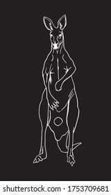 Vector sketch of kangaroo isolated on black background, lined drawing