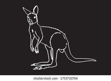 Vector sketch of kangaroo isolated on black background, lined drawing