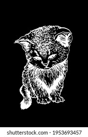 Vector sketch of kitten on black background, illustration