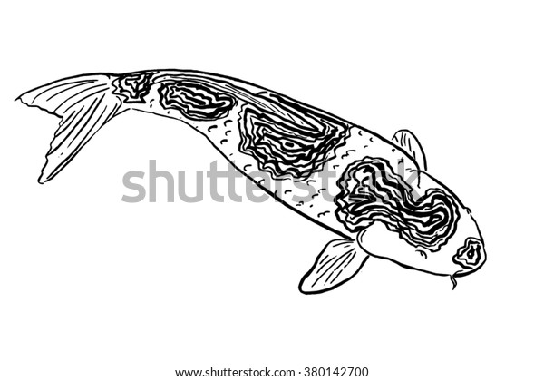 Vector Sketch Koi Fish Stock Vector Royalty Free 380142700