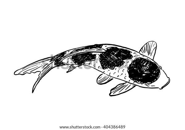 Vector Sketch Koi Fish Stock Vector Royalty Free 404386489