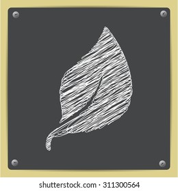 Vector sketch leaf icon on school blackboard  