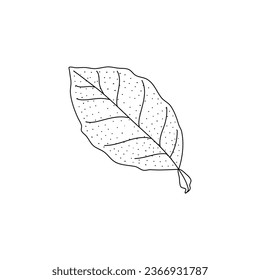 Vector Sketch Lemon leaves. Hand Drawn Botanical Illustrations. Black and white with line art isolated on white backgrounds