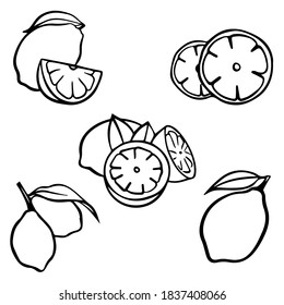 Vector sketch lemone with leaf set. Black and white with line art isolated on white backgrounds. Lemon icon or logo.