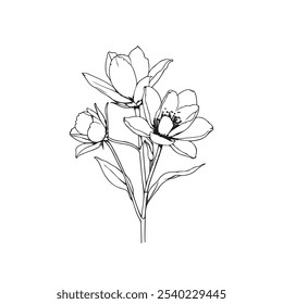 Vector Sketch Line Art Drawing of Flowers Bouquet. Minimalist Trendy Contemporary Floral Design Perfect for Wall Art, Prints, Social Media, Posters, Invitations, Branding Design.