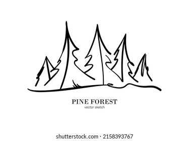 Vector sketch line pine forest. Isolated tree on white background