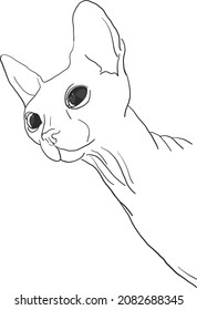 vector sketch in the lines of a sphinx cat