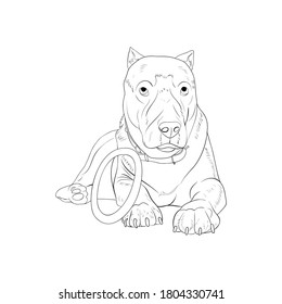 Vector sketch of the lying dog with toy isolated on white background 