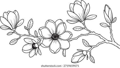 Vector sketch of a magnolia tree branch with blossoms and foliage, emphasizing nature, spring, and organic shapes.