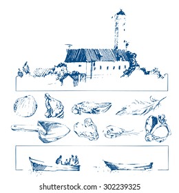 vector sketch of marine findings: seashells, pebbles ...