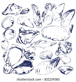 vector sketch of marine findings: seashells, pebbles ...