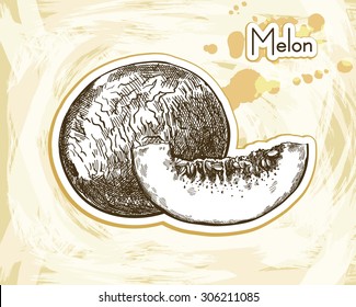 Vector sketch of the melon on an abstract background