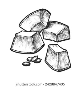Vector sketch of melon pieces with seed. Sliced fruit vintage drawing. Realistic farm harvest edible berry for cooking or recipe book illustration. Vegetarian or vegan organic salad ingredient.Harvest