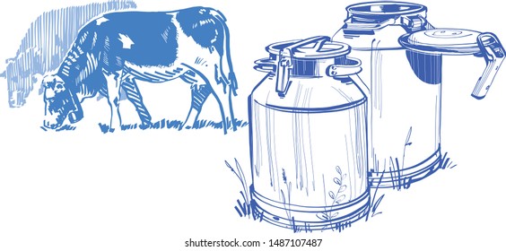 the vector sketch of the milk and caws on background