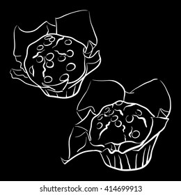 Vector sketch of muffins on black background