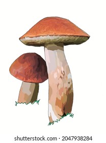 Vector sketch mushrooms autumn picture