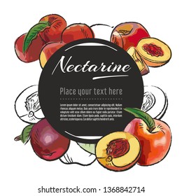 Vector sketch nectarine banner on white background. With place for text. Hand drawn sketch fruit graphic design	